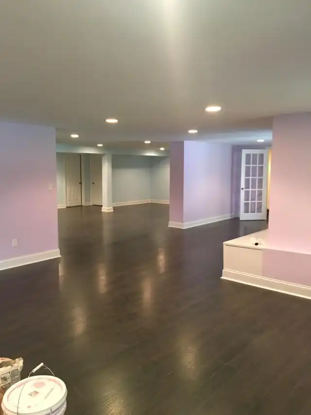 Finished basement with a dark wood floor and pale walls